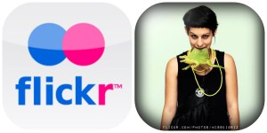 collage photos flikr